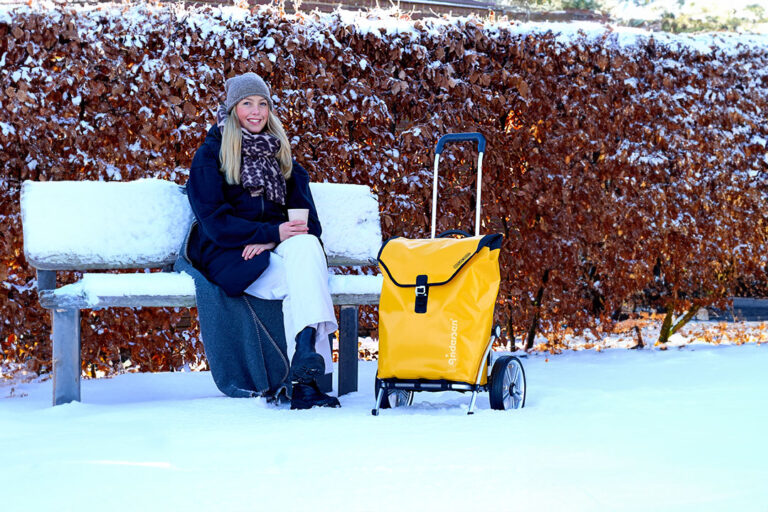 10 gode grunner til å kjøpe trillebag fra Andersen Shopper