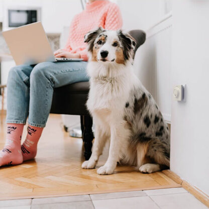 Miteless Home kjemikaliefri middbeskyttelse med ultralyd, beige - Bilde 2