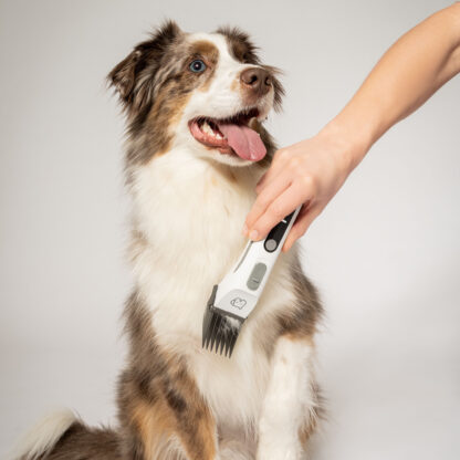 Beurer PP 110 Fluffy Klippemaskin for hund og katt - Bilde 9
