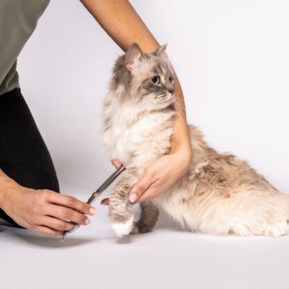 Beurer PP 110 Fluffy Klippemaskin for hund og katt - Bilde 8
