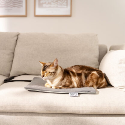 Beurer PP 210 Lilli varmematte for hund, katt og smådyr, 41 × 34 cm