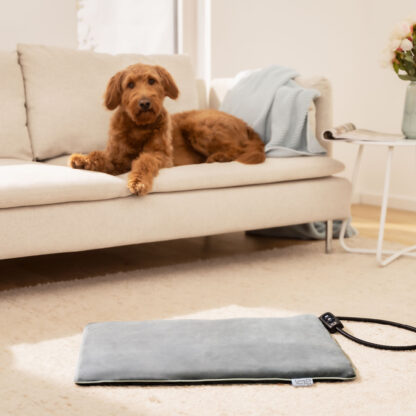 Beurer PP 220 Sammy varmematte for hund og katt, 65 × 50 cm - Bilde 12