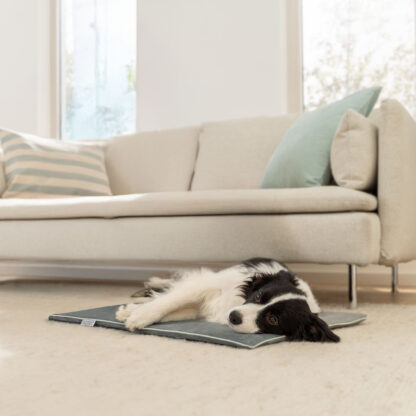 Beurer PP 220 Sammy varmematte for hund og katt, 65 × 50 cm - Bilde 13
