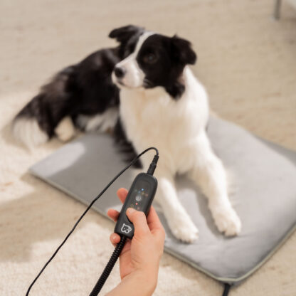 Beurer PP 220 Sammy varmematte for hund og katt, 65 × 50 cm - Bilde 2