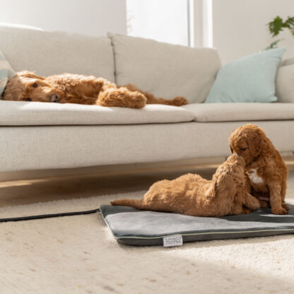 Beurer PP 220 Sammy varmematte for hund og katt, 65 × 50 cm - Bilde 3
