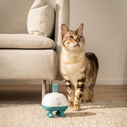 Beurer PP 410 Buddy massasjeapparat for hund og katt - Bilde 10