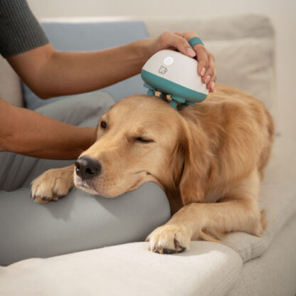 Beurer PP 410 Buddy massasjeapparat for hund og katt - Bilde 17